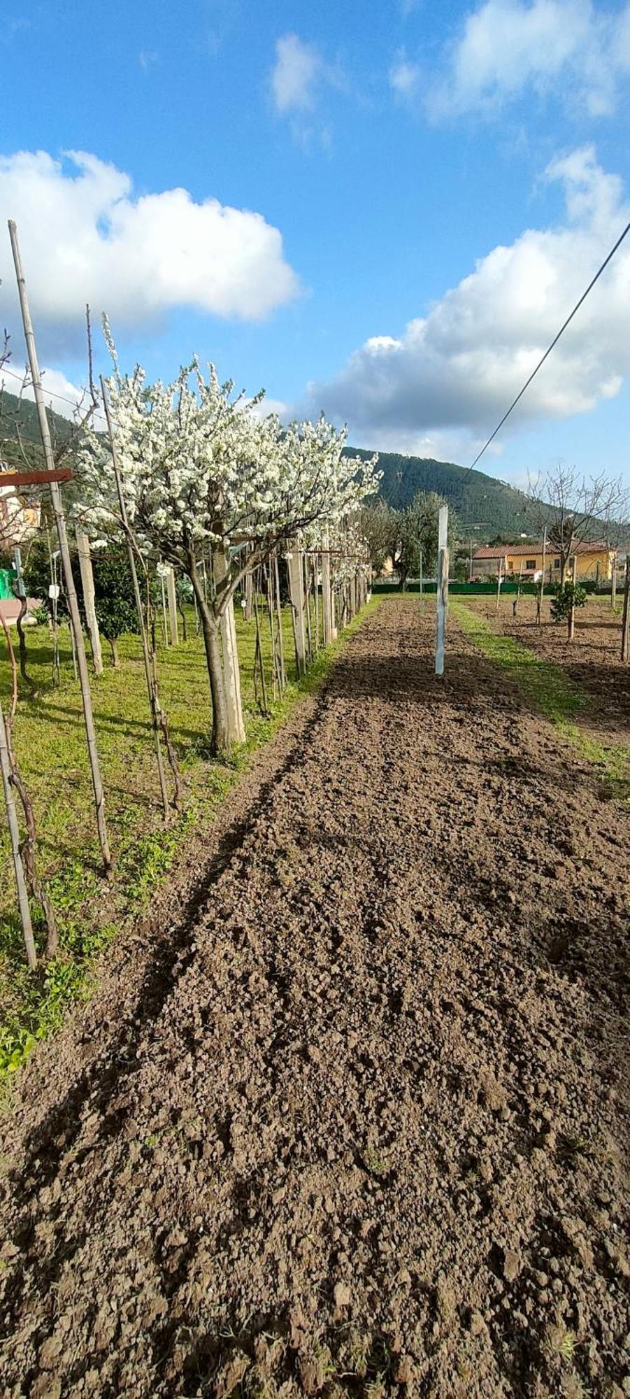 La Tenuta Di Eva Apartment