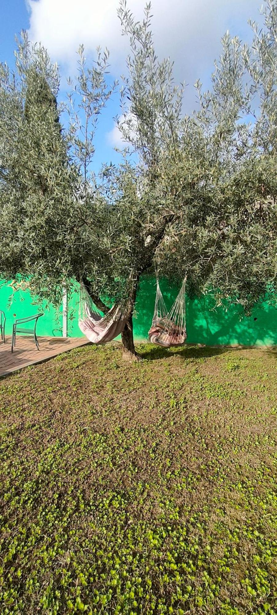 La Tenuta Di Eva Pisa