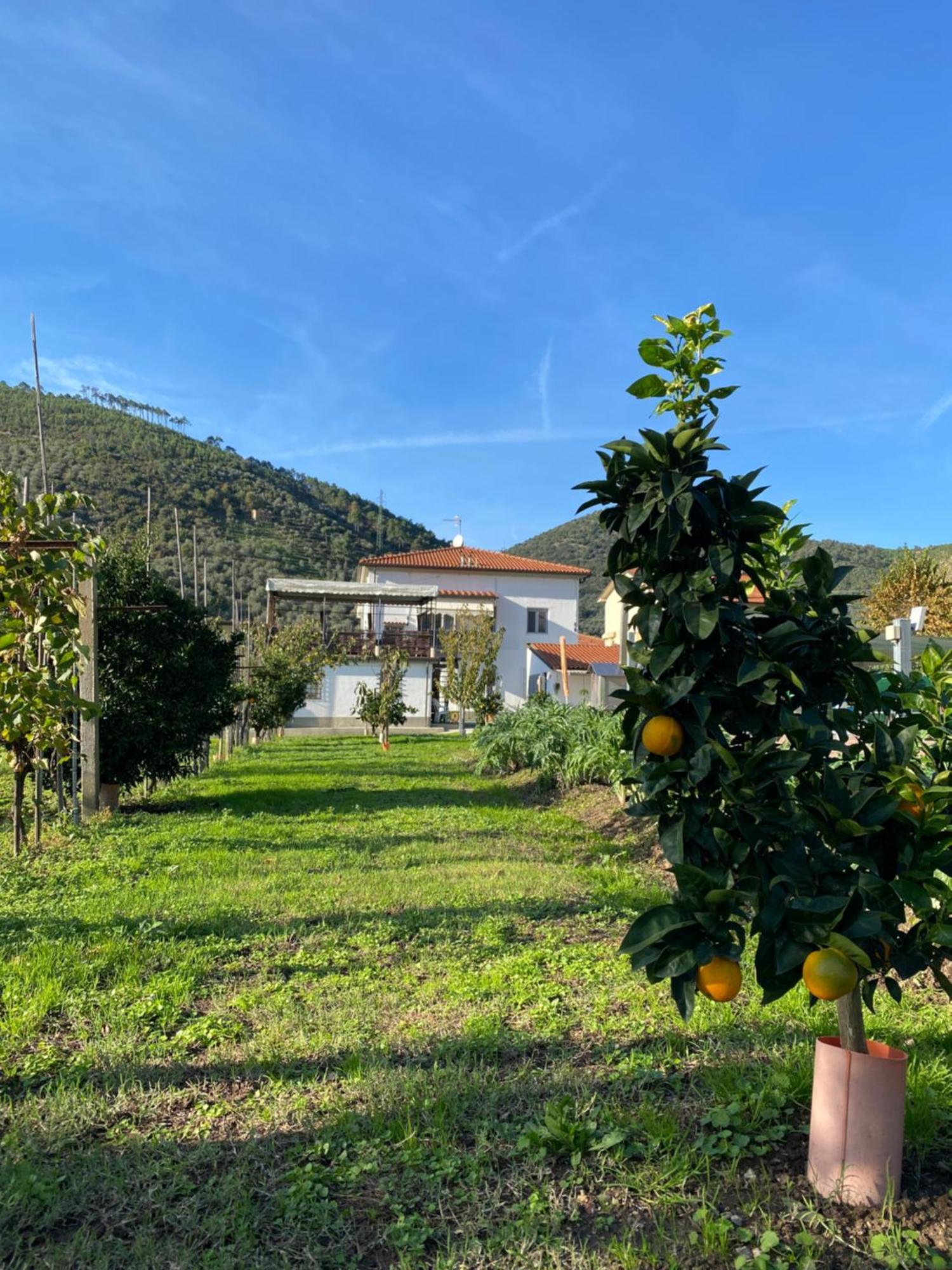 La Tenuta Di Eva * Pisa