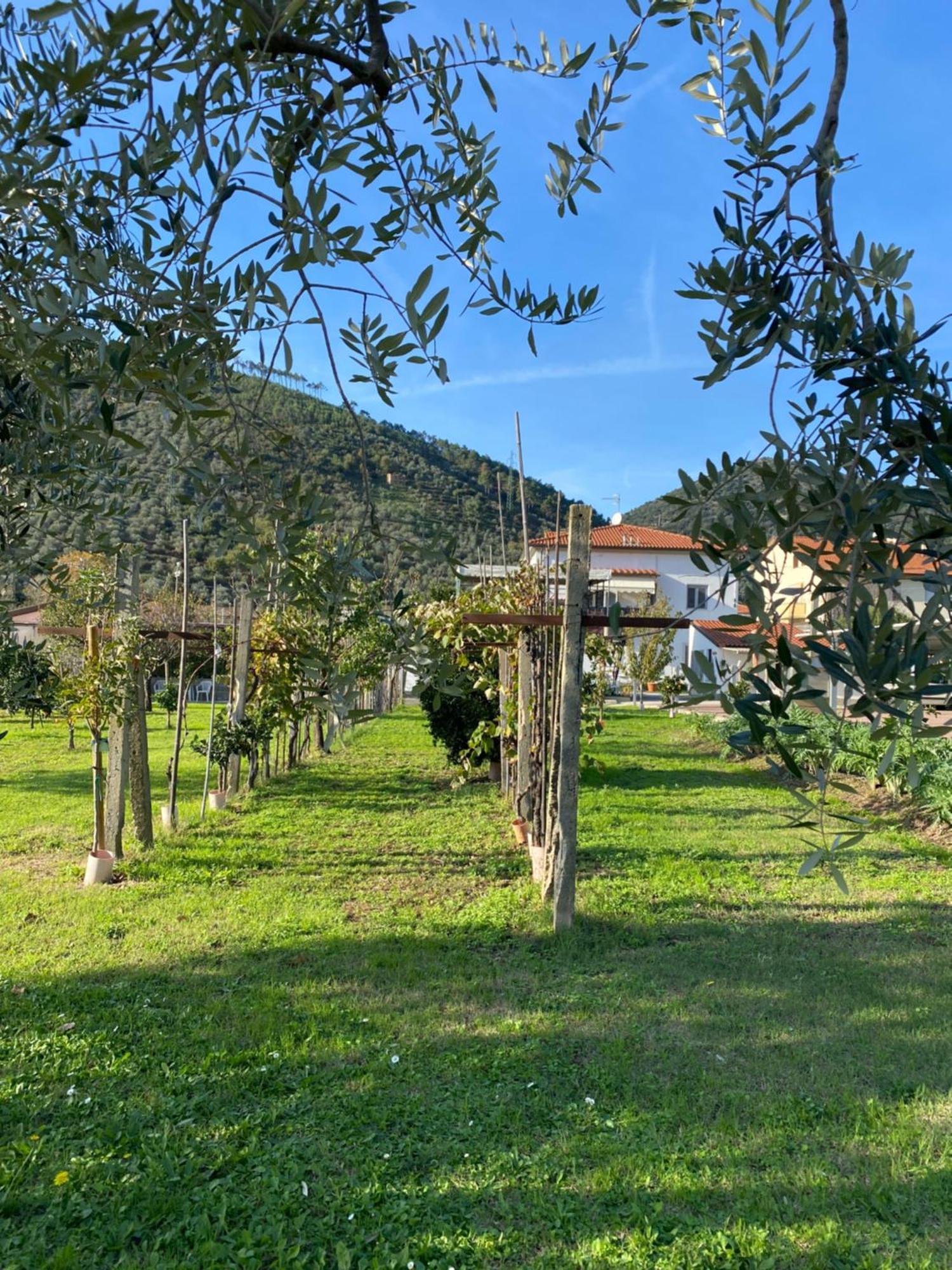 La Tenuta Di Eva * Pisa