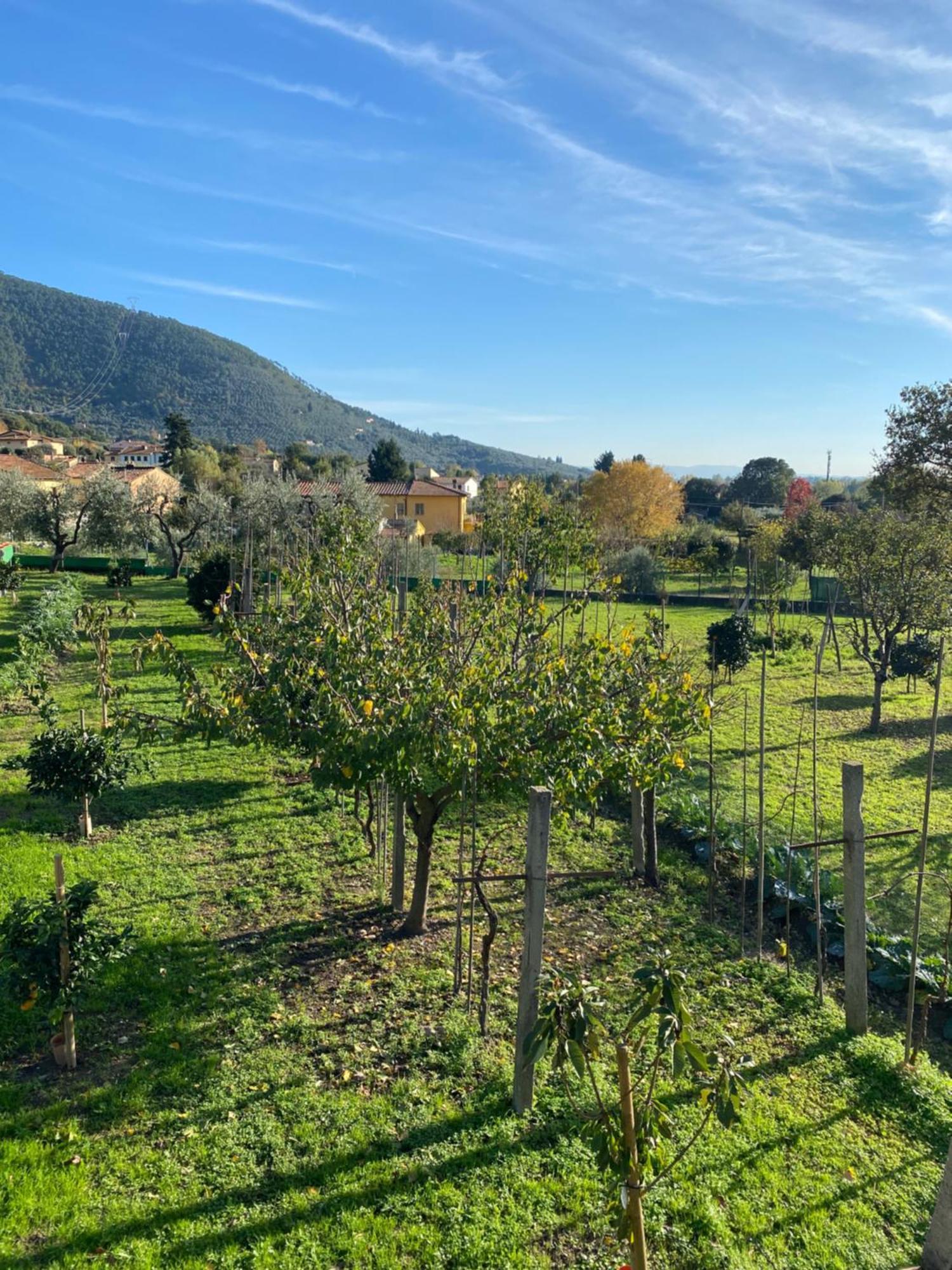 Apartment La Tenuta Di Eva