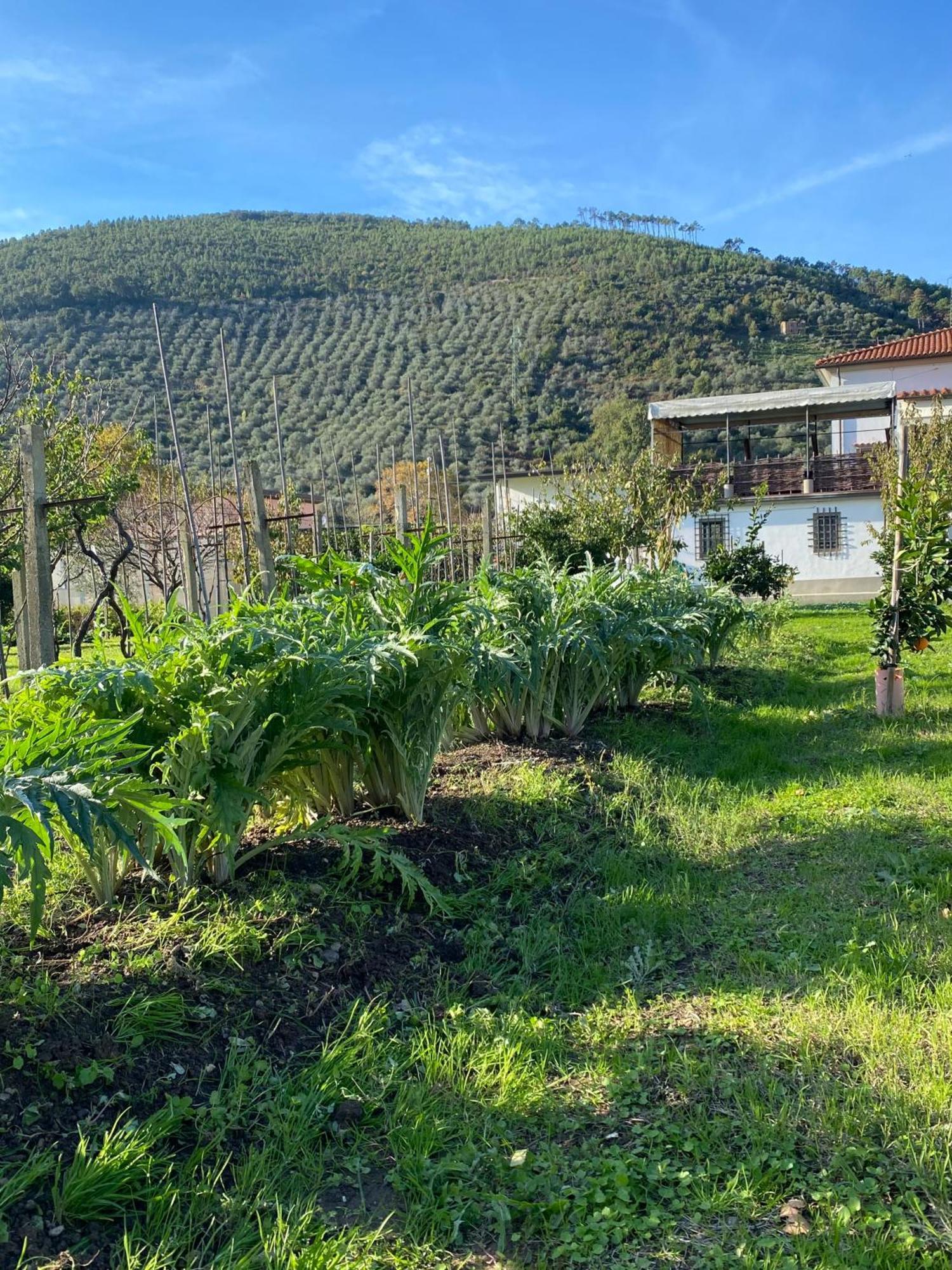 La Tenuta Di Eva * Pisa
