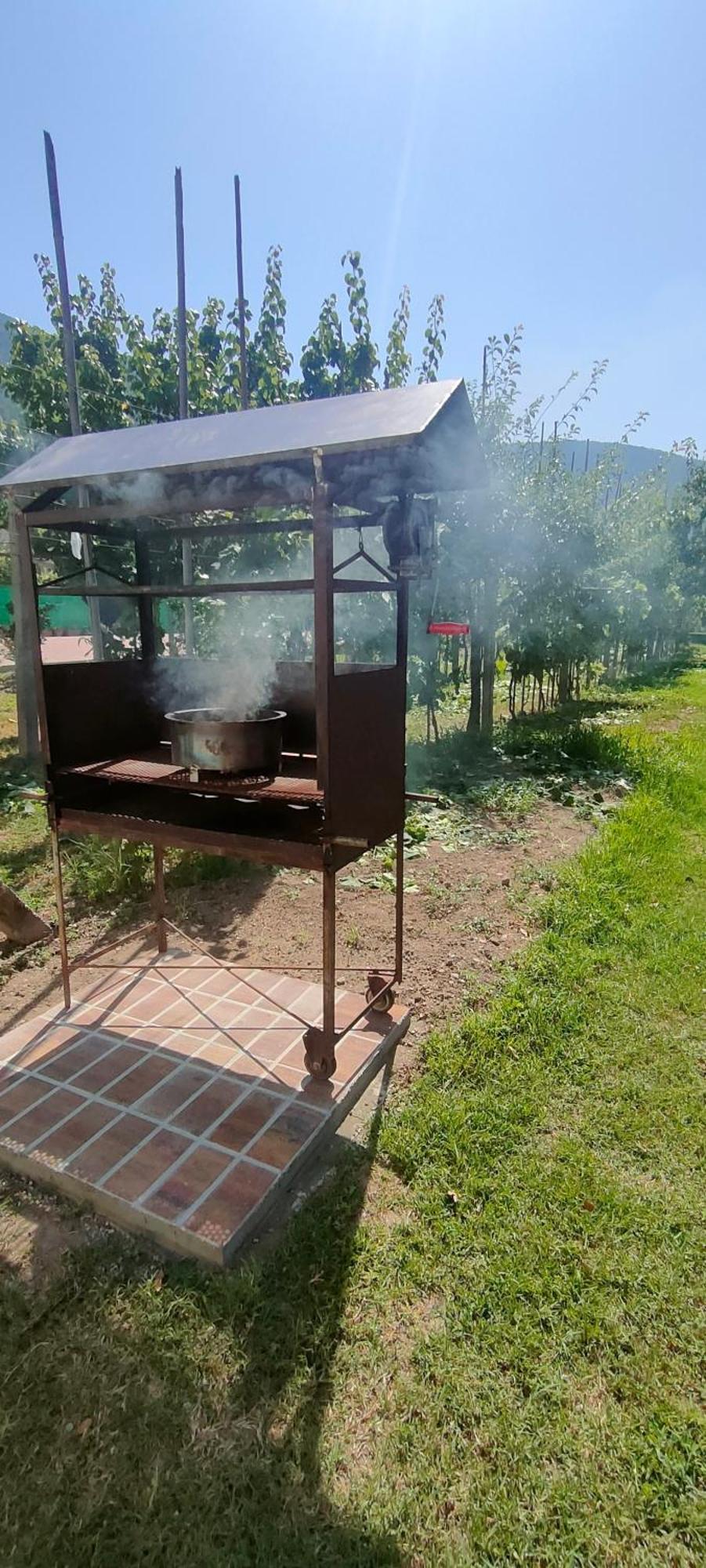La Tenuta Di Eva Apartment Pisa