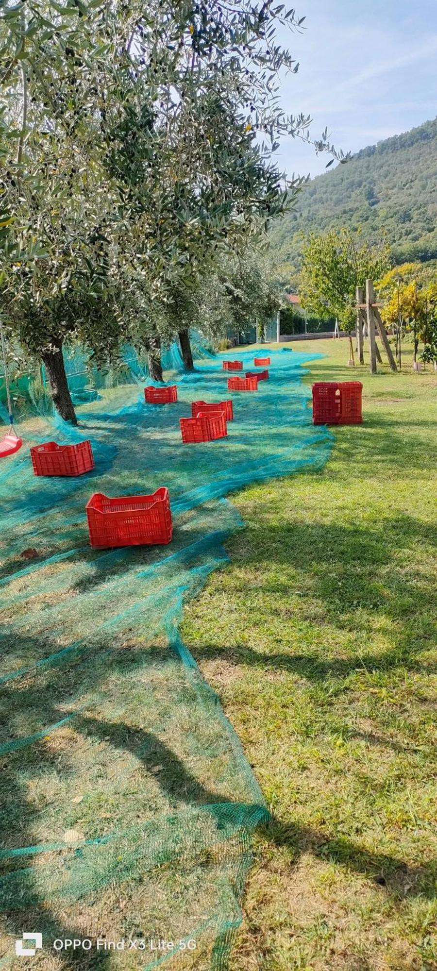 La Tenuta Di Eva
