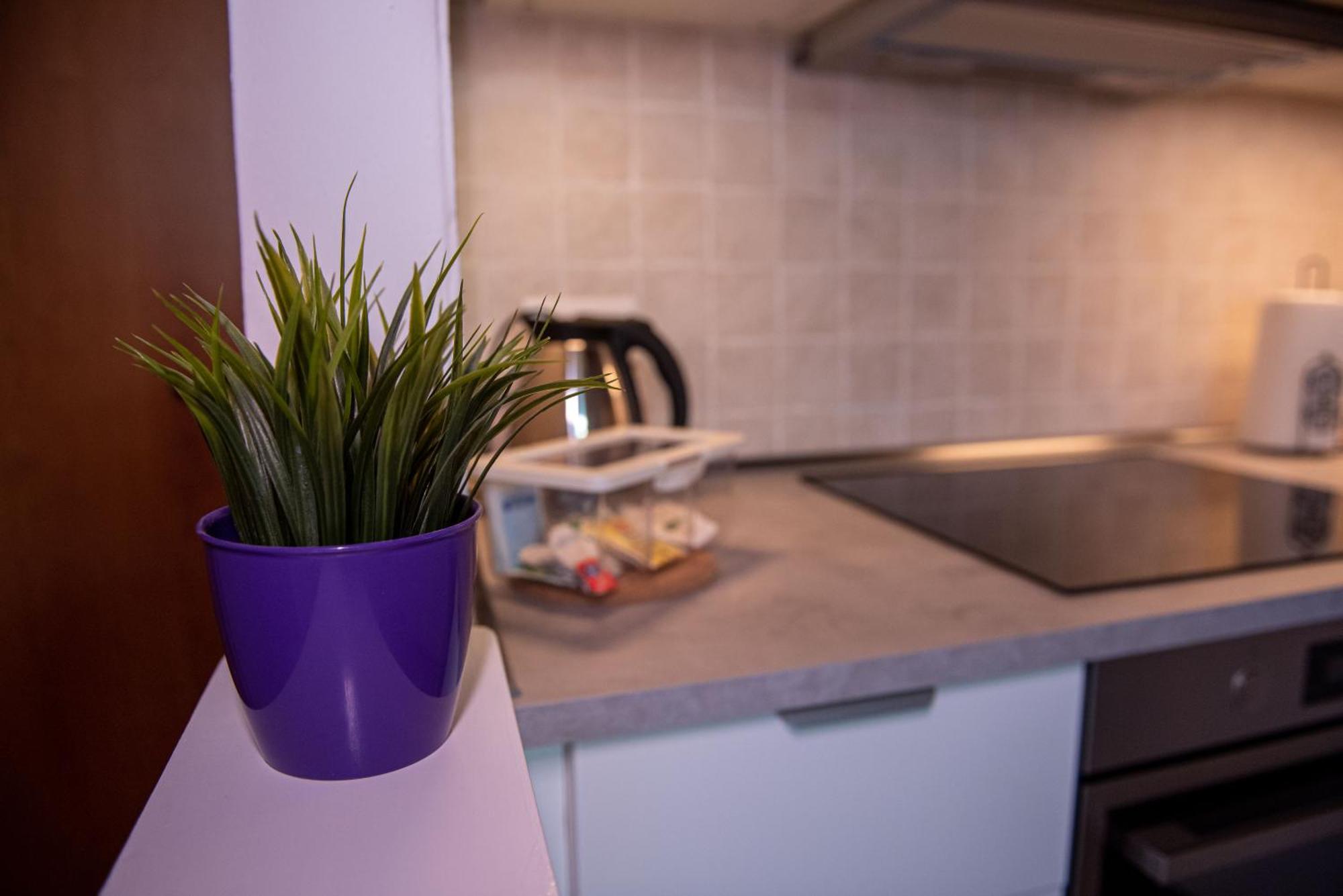 Apartamento Delizioso In Casa Mima Pisa