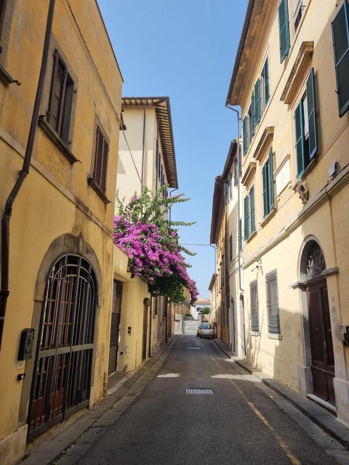 Tra Miracoli E Cavalieri Pisa