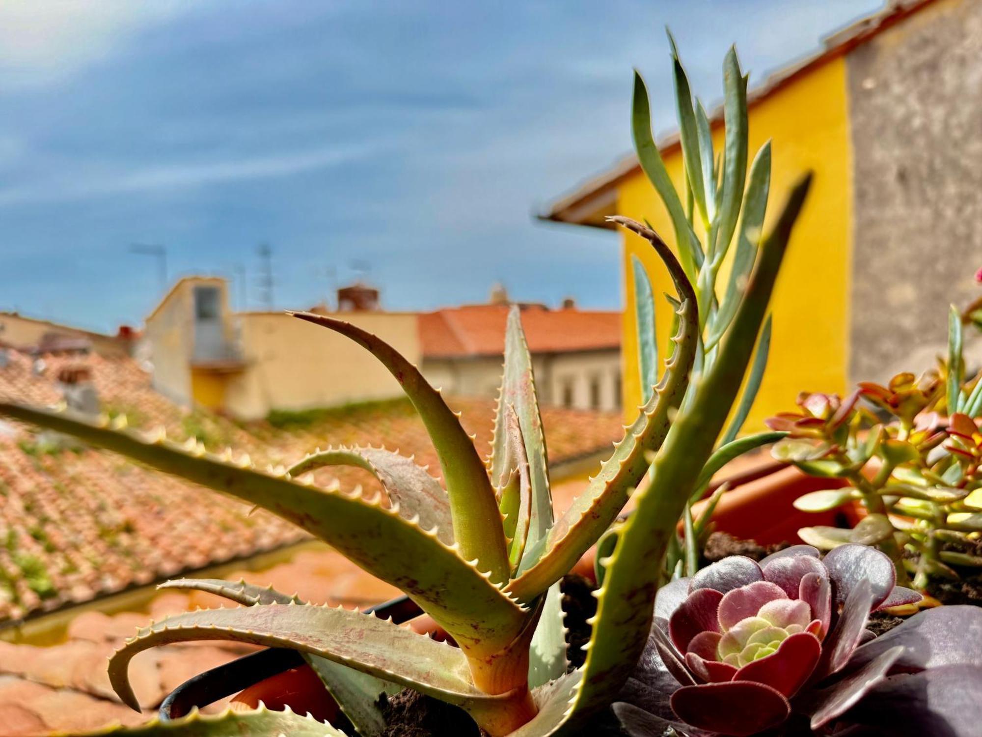 Vista - Vivi La Storia In Prima Fila Apartment