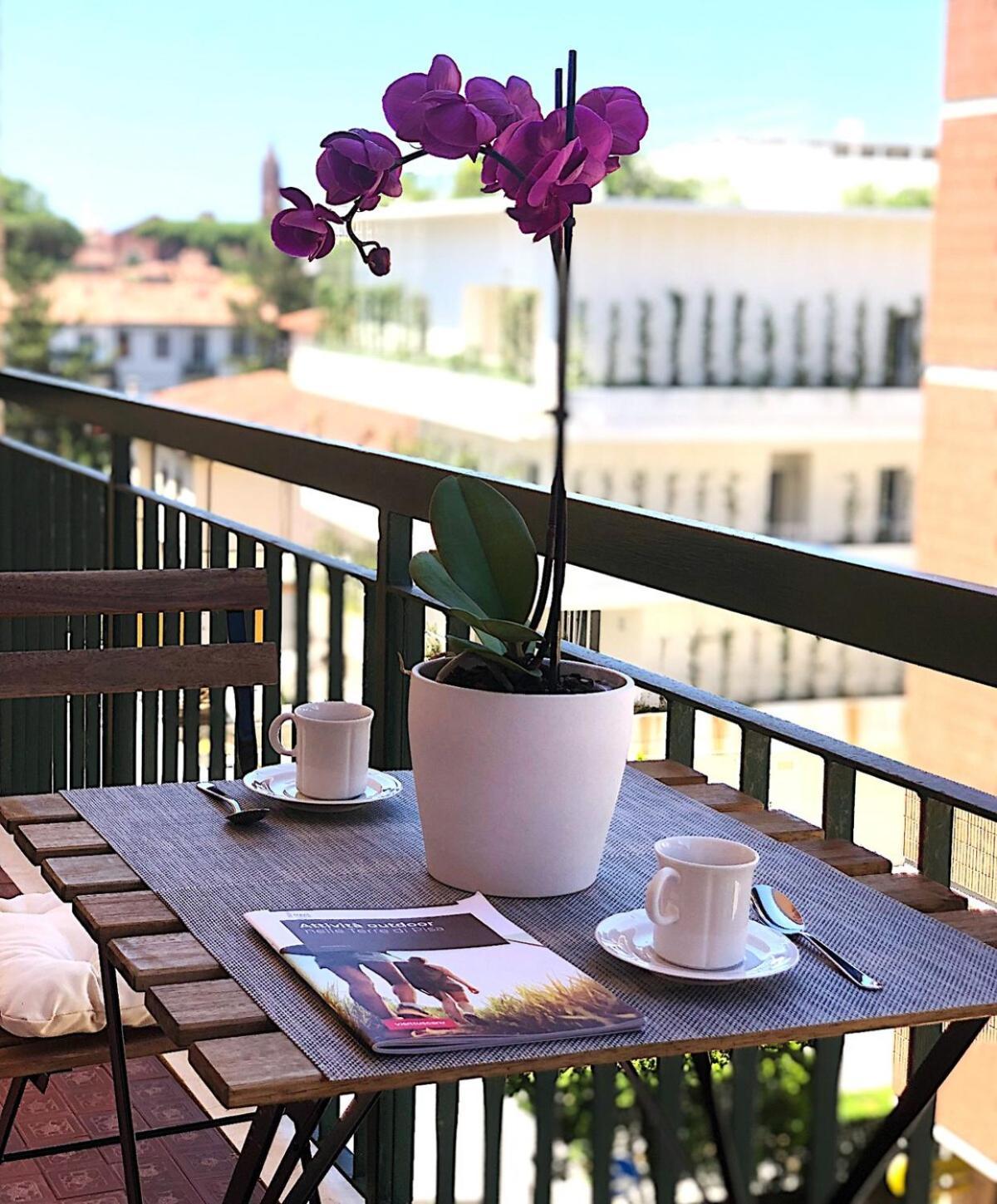 Apartment Medoro Pisa