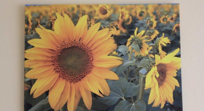 I Girasoli *
