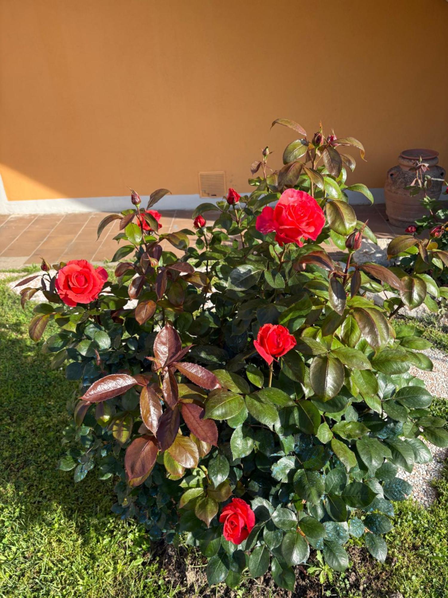 Bed & Breakfast Soleluna