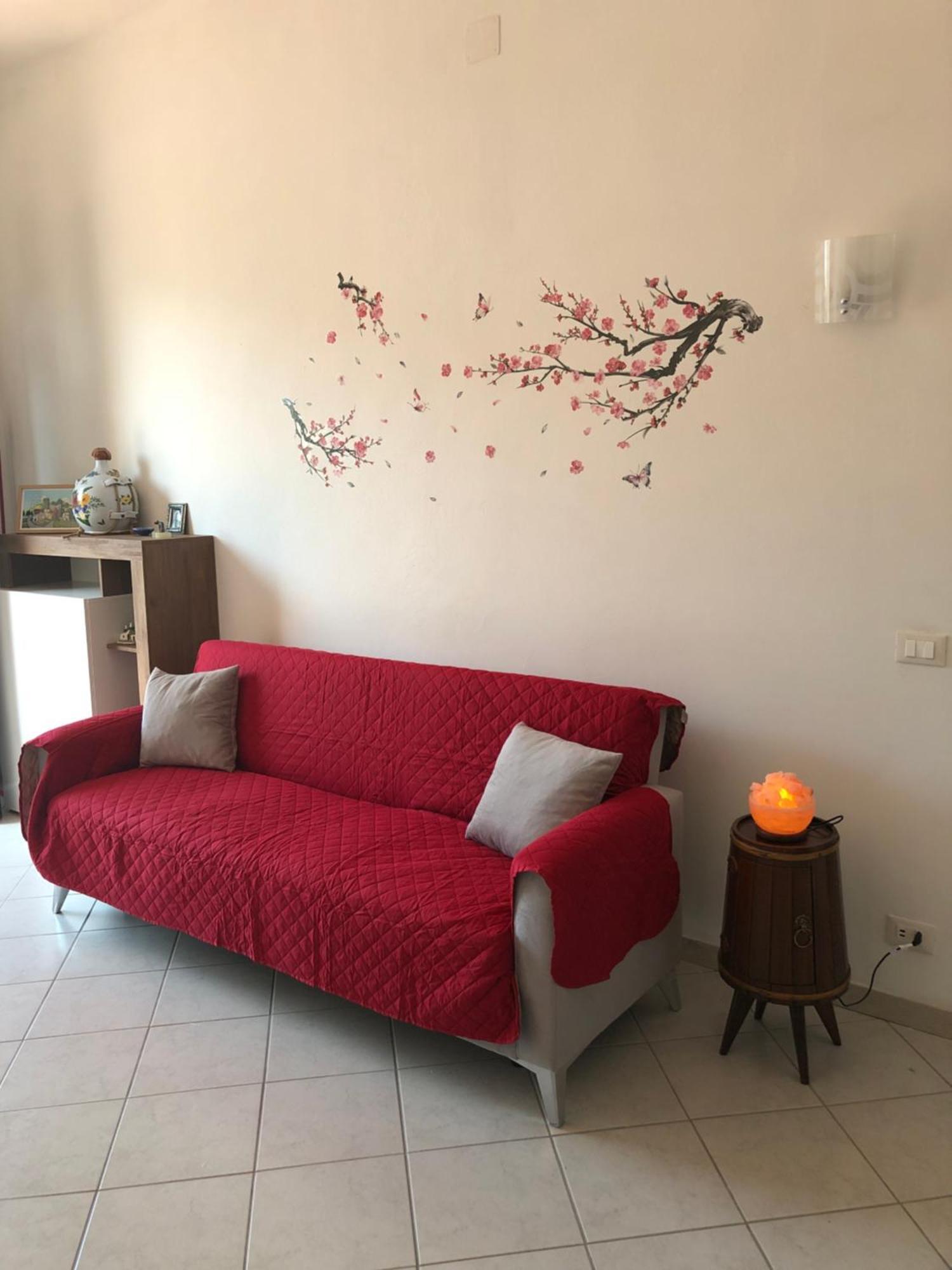 La Casa Degli Ulivi * Pisa