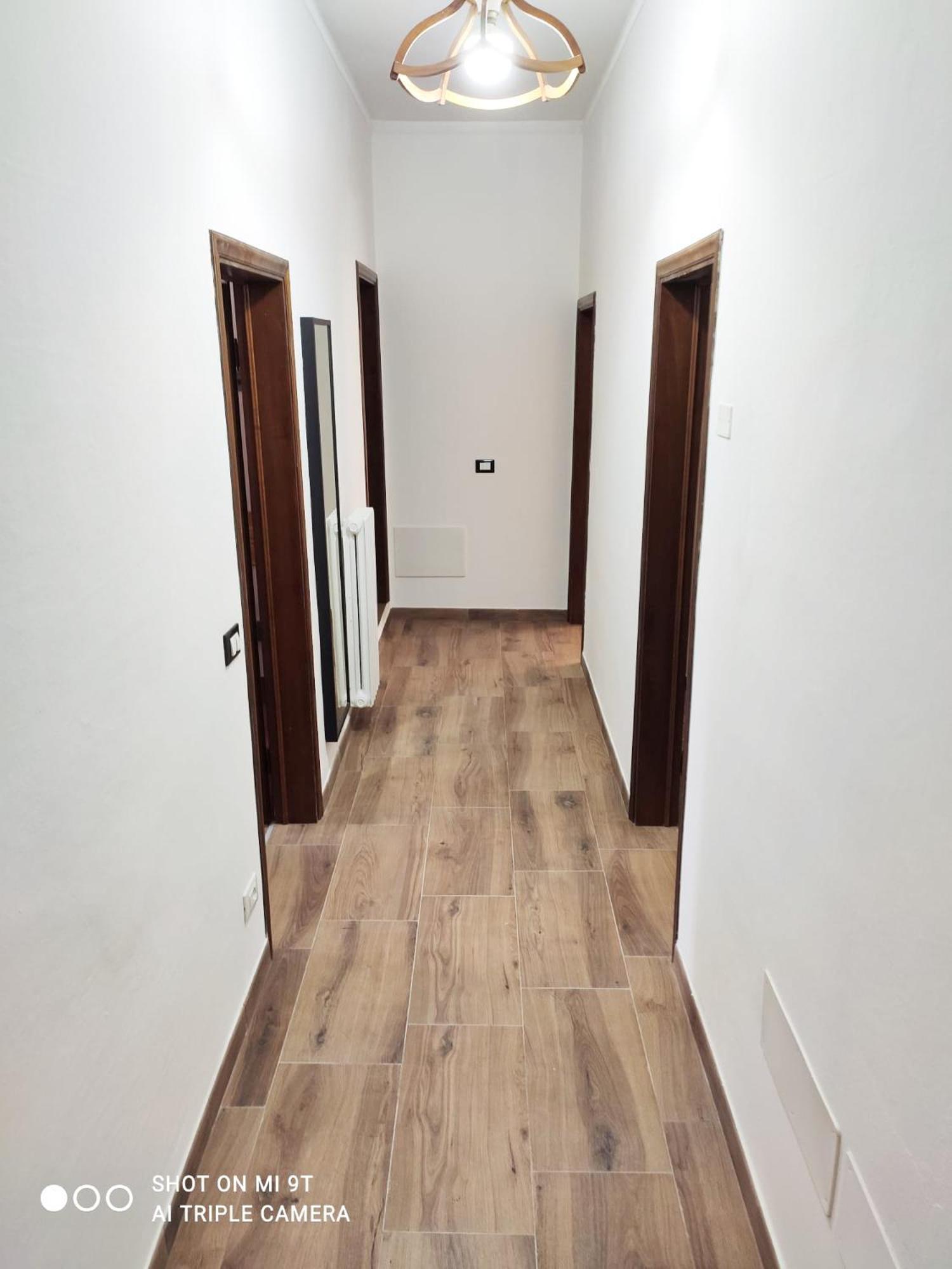 Apartment Domus Pisana Pisa