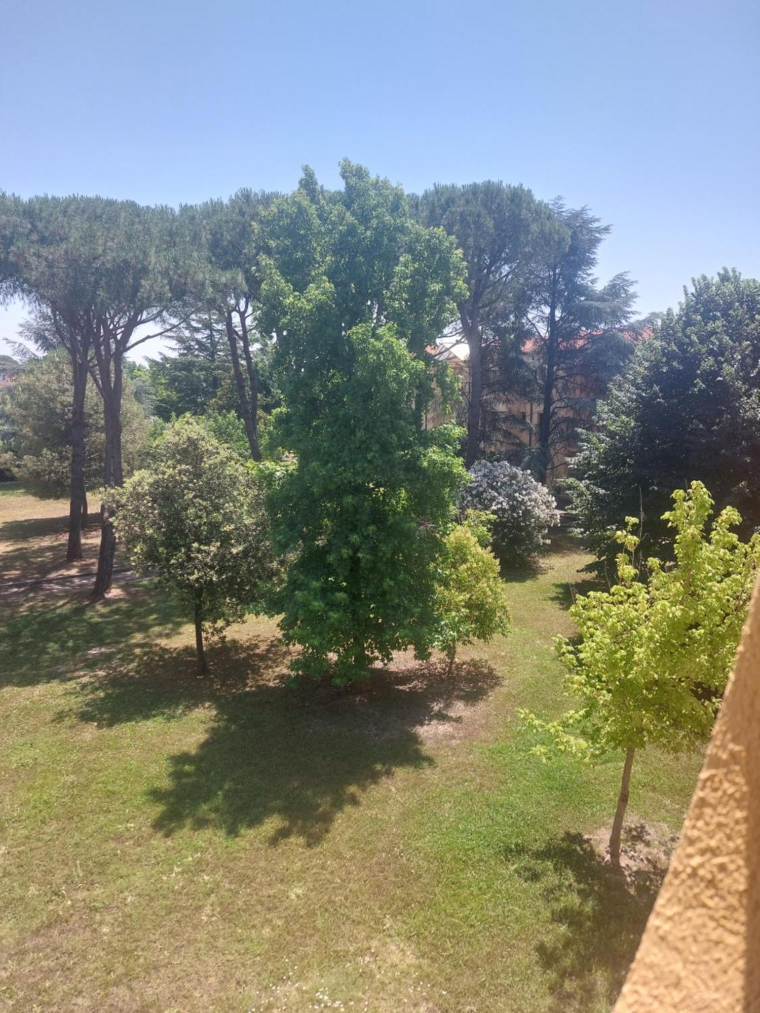Largo Catallo