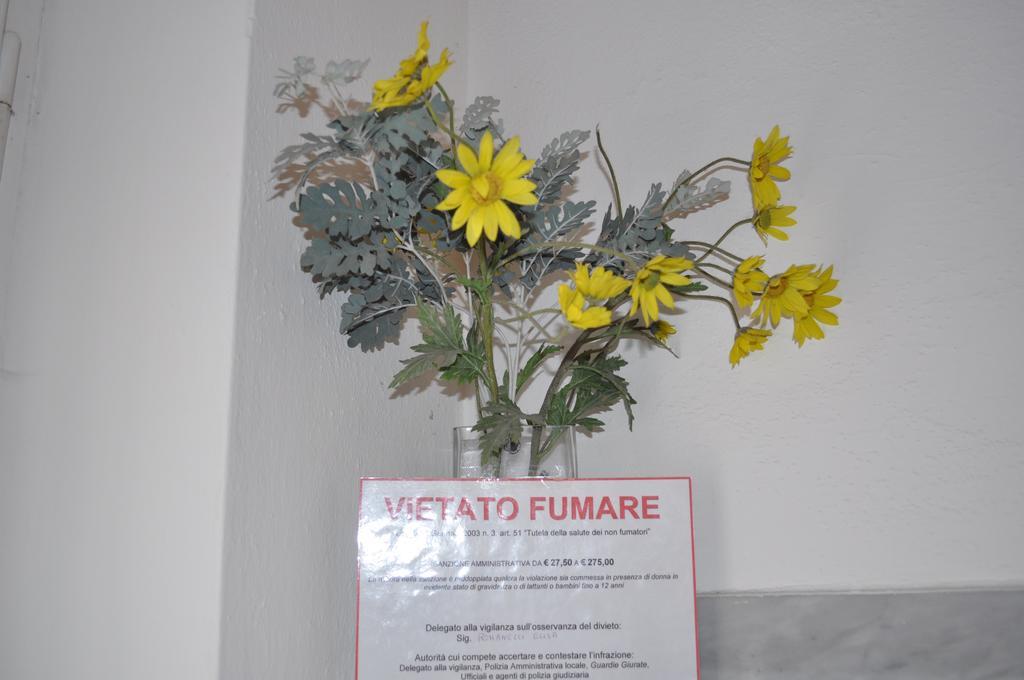 Elisa Guest house Pisa