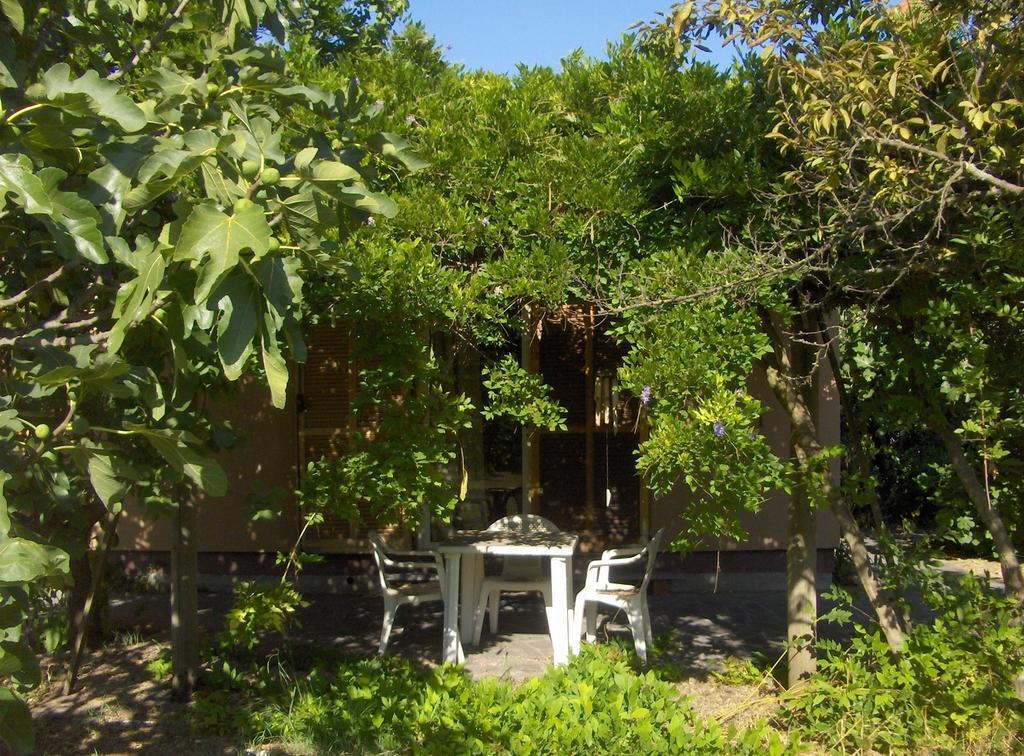 Le Navi Antiche - Hituscany Holiday home Pisa