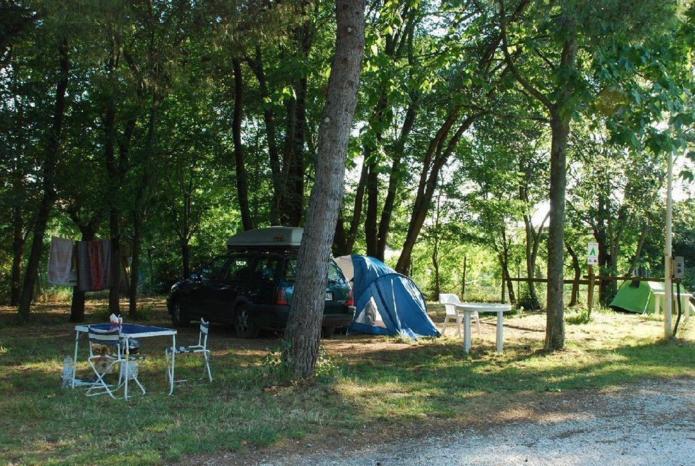 Village Torre Pendente Campsite Pisa