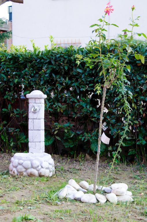 Guest house Di Stefania Jane Pisa