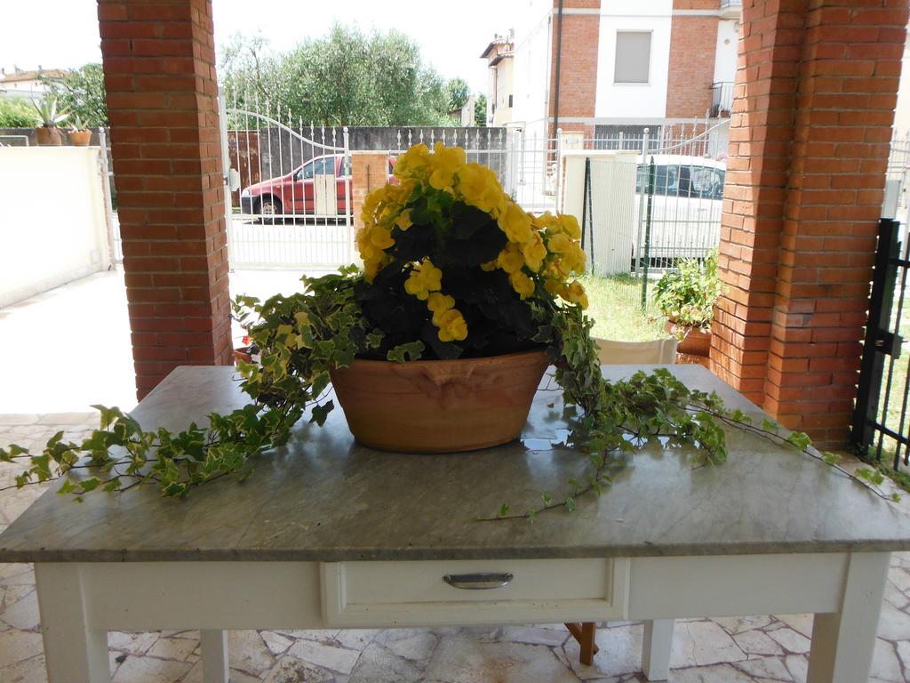 La Casa Di Nila Pisa