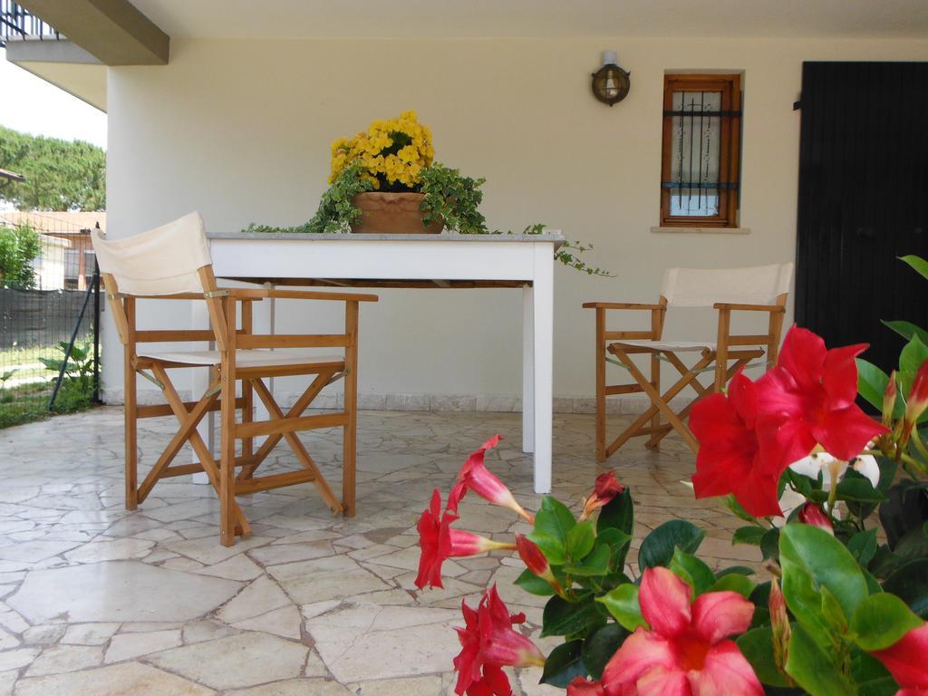 La Casa Di Nila Pisa