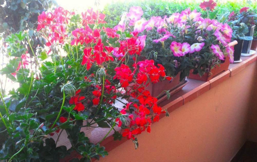 A Casa Doina Airport2 Bed & Breakfast Pisa