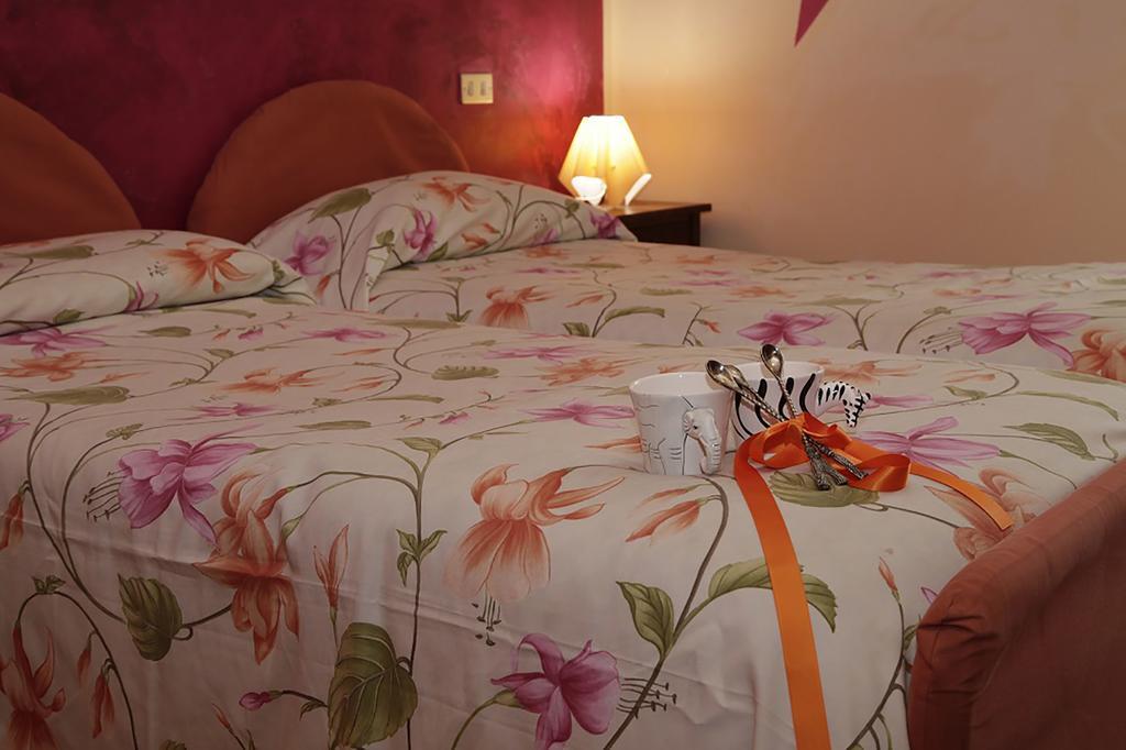 A Casa Di Marcella * Pisa