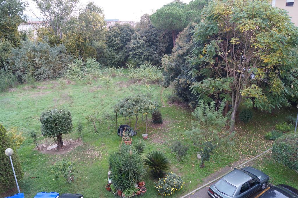 Simon Appartement *