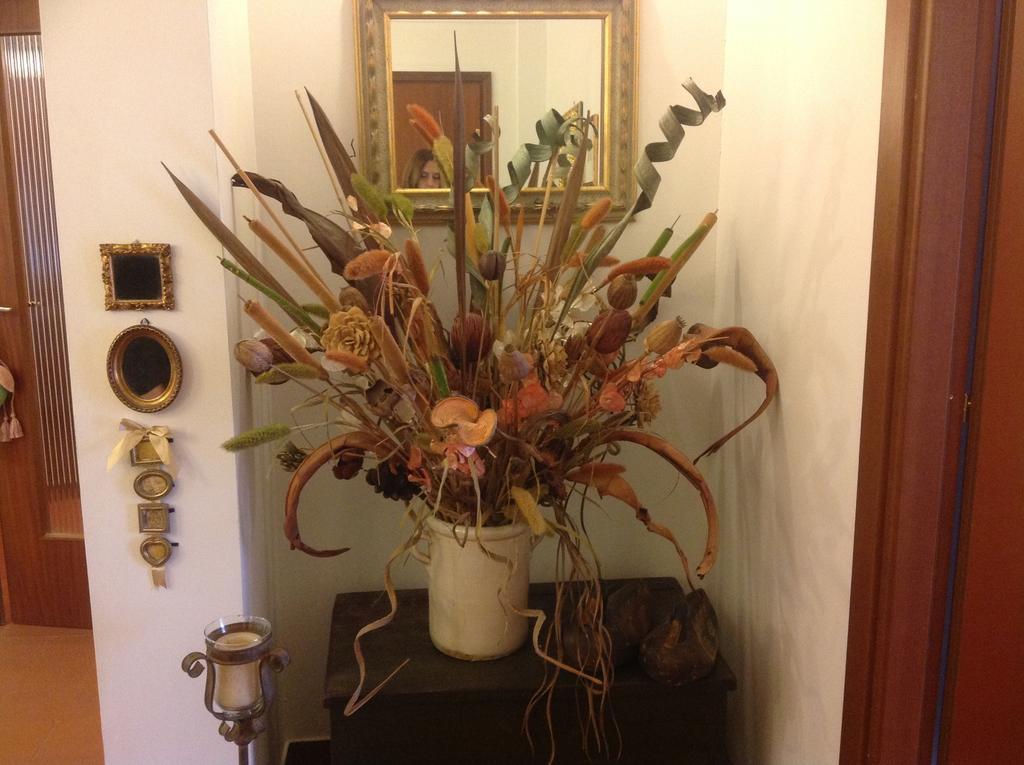 Cisanello House Guest house Pisa