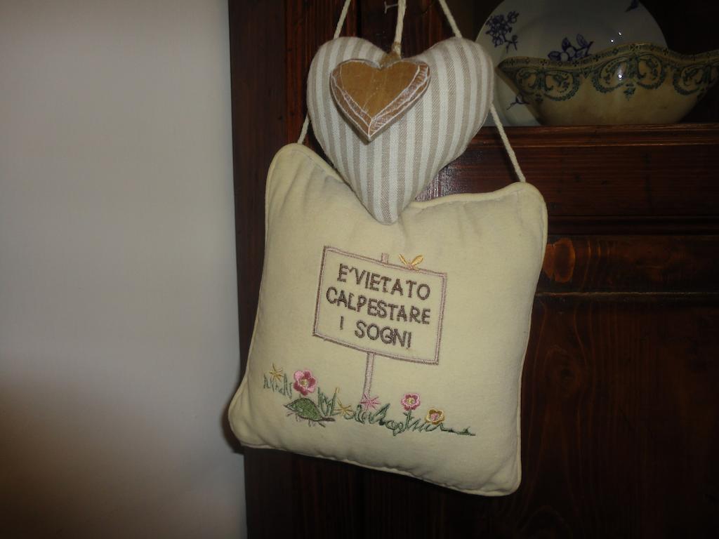 Guest house Cisanello House *
