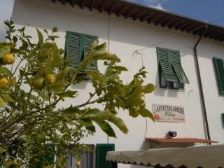 Guest house Elisa 5*