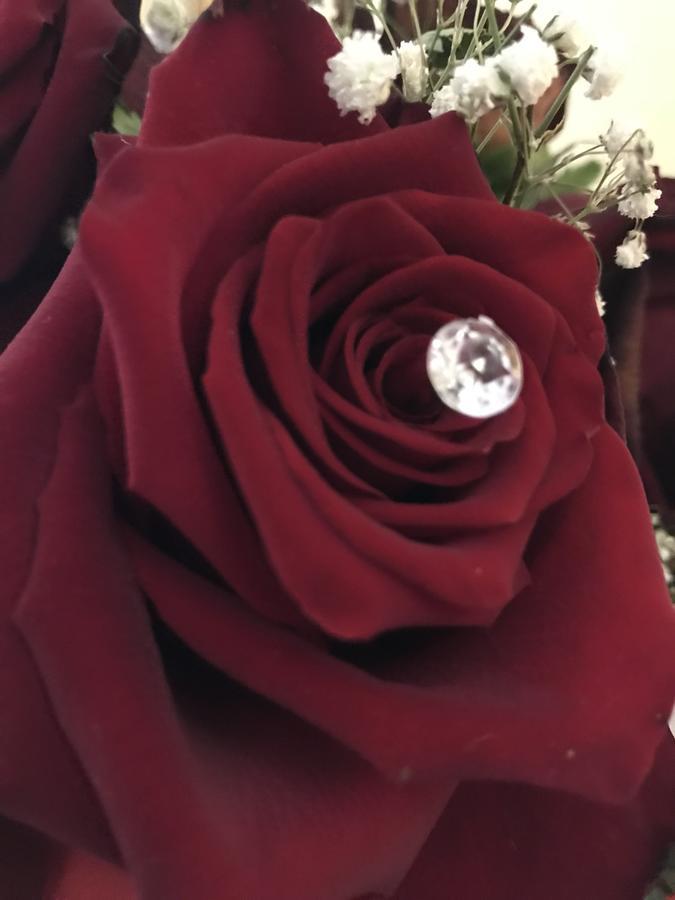 Lady Rose Frühstückspension 2*