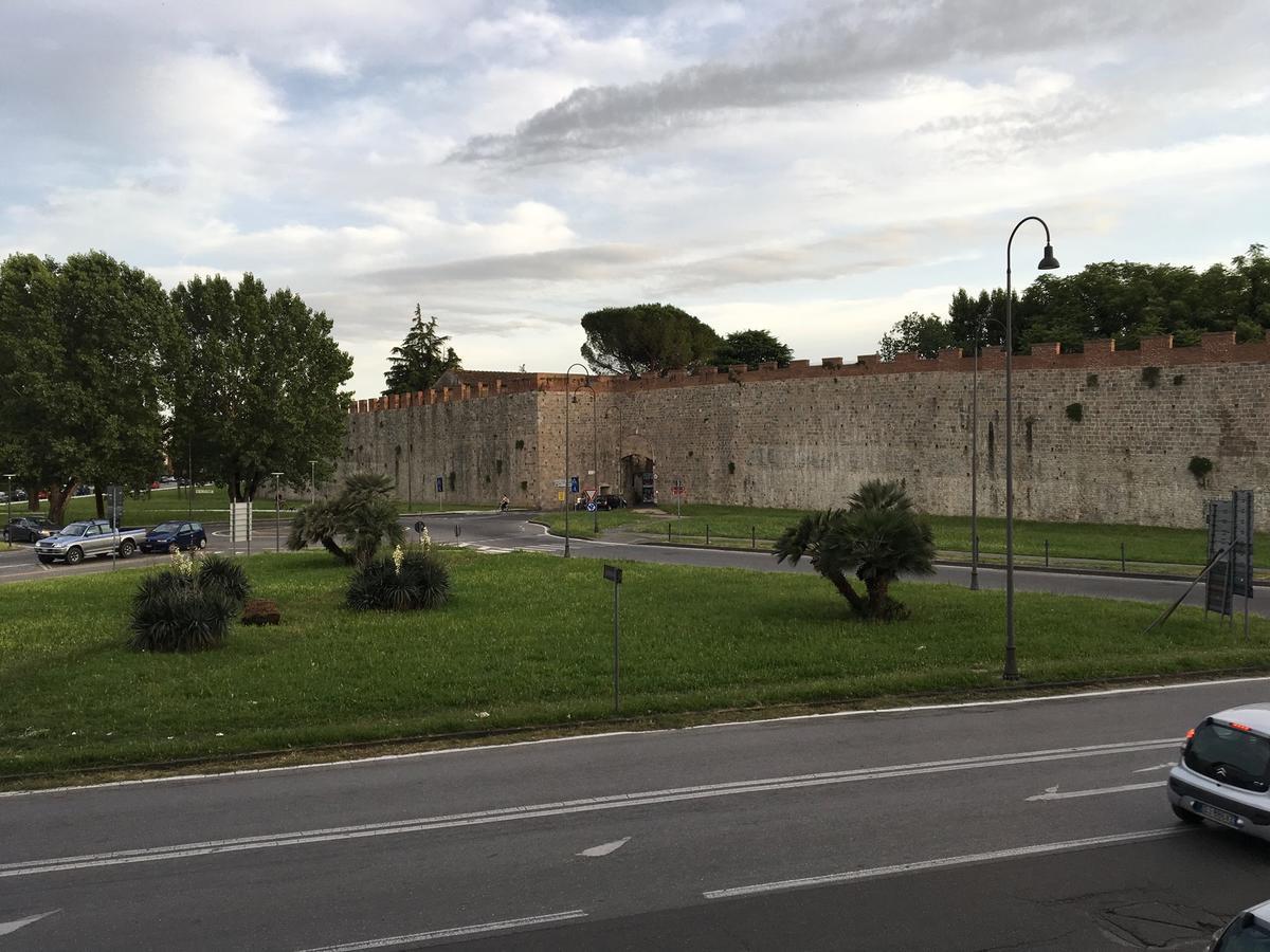 Bibi * Pisa