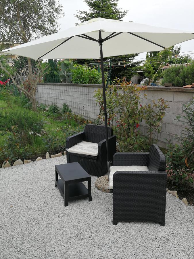 Alex Bed & Breakfast Pisa