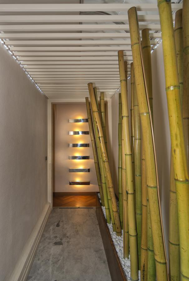 Lauri Loft Pisa