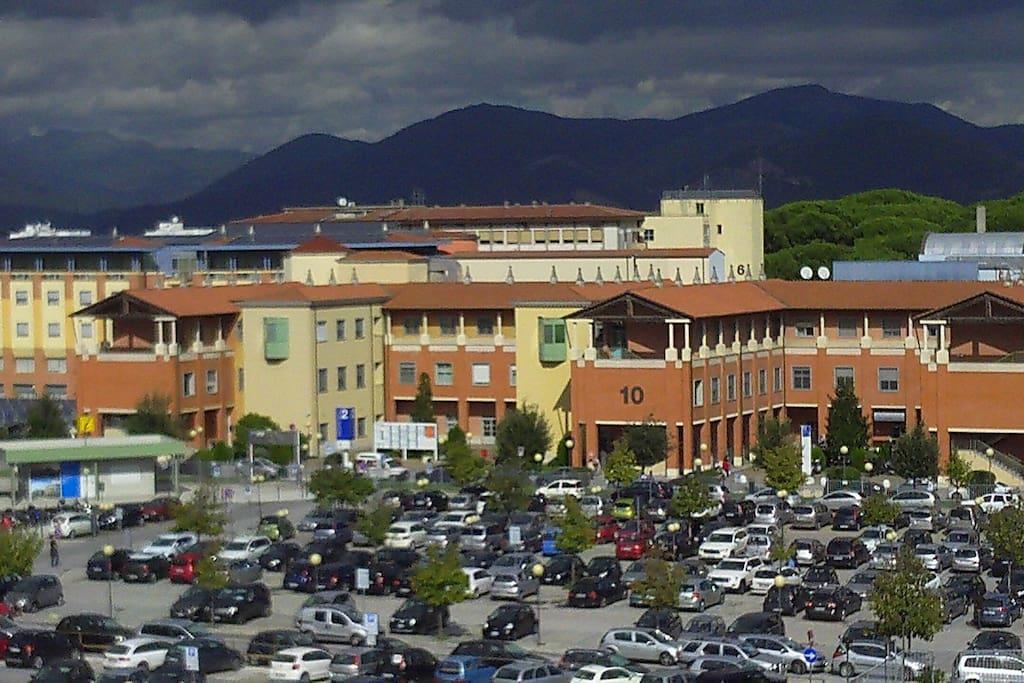 Roberta Cisanello Pisa