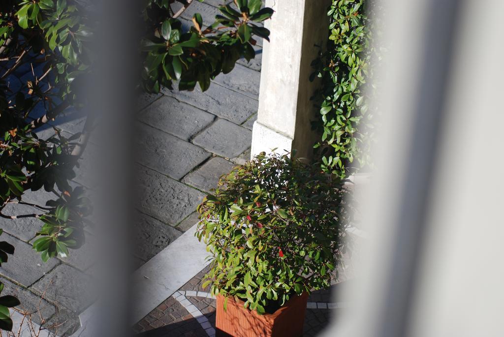 Hotel Ariston Pisa