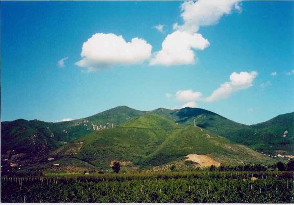 Agriturismo La Pisana Farm stay Pisa