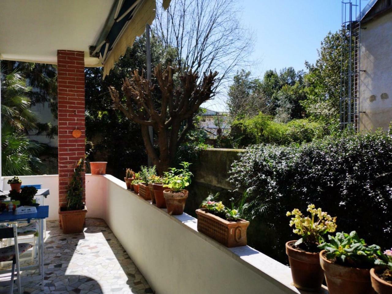 Bed & Breakfast Wanderlust Pisa