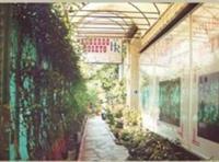 Roseto 2*