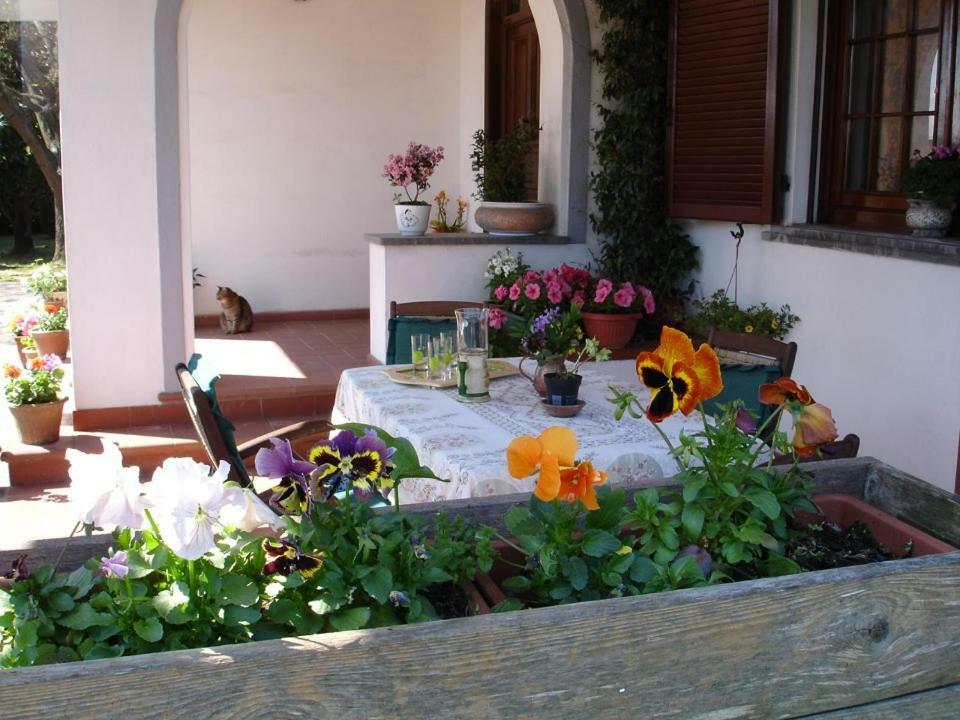 Bed & Breakfast Carla Pisa