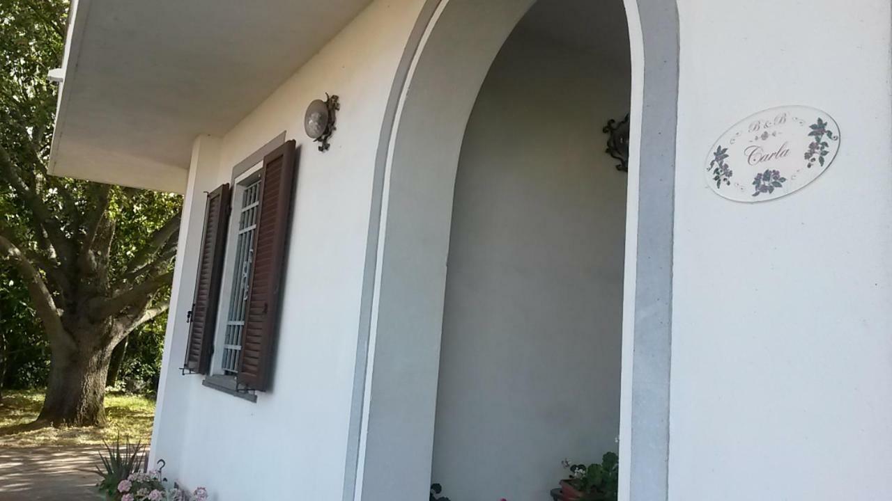 Carla * Pisa
