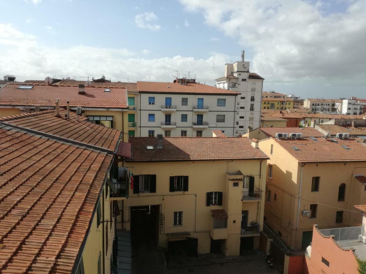 Treehouse * Pisa