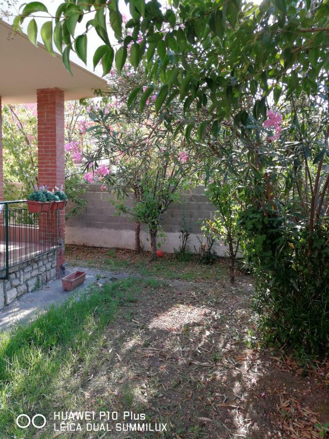 Galilei Guest house Pisa