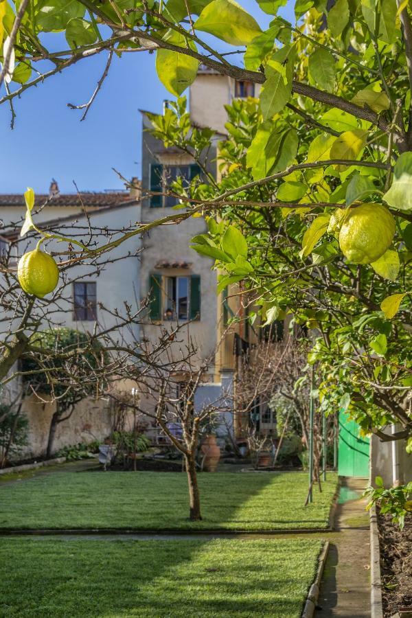 Giardino Antico Appartamento * Pisa