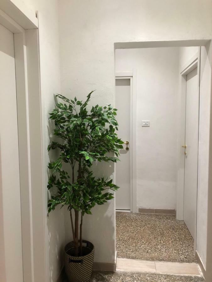 Guest house Station & Airport Pisa