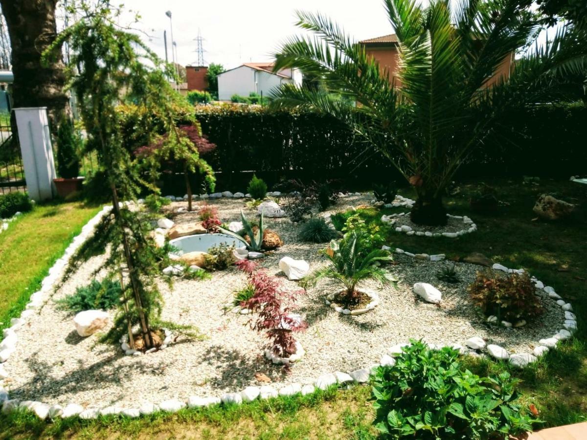 Gioia Bed & Breakfast Pisa