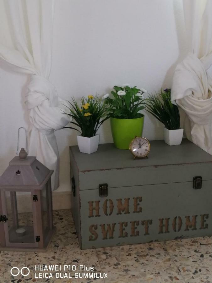 Galilei Guest house *