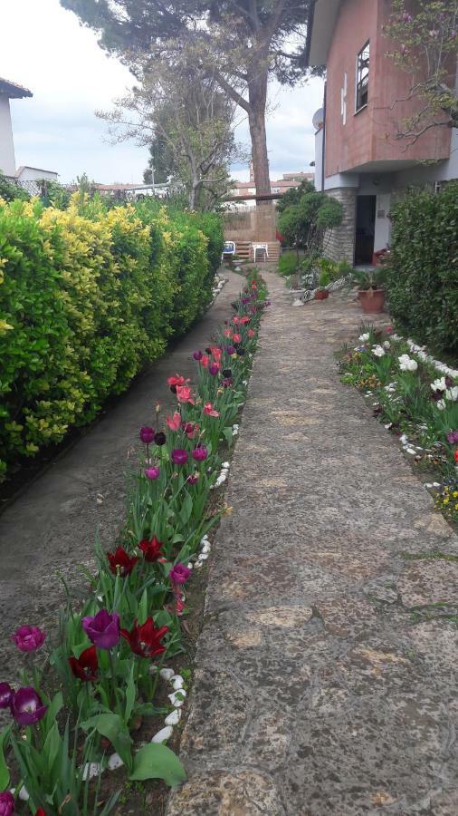 Gioia Bed & Breakfast Pisa