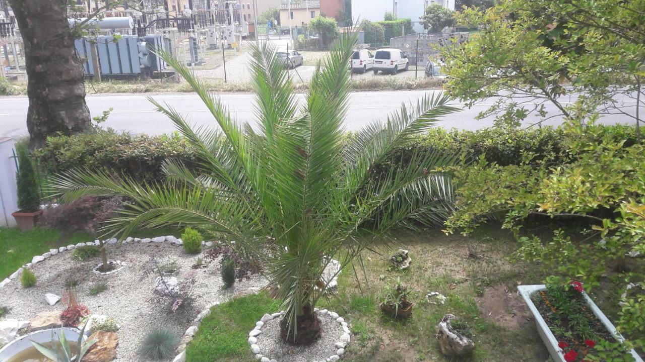 Gioia Pisa