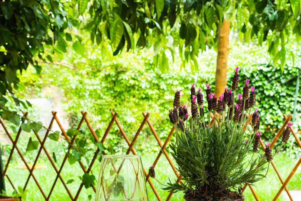 Appartement Marylou Gardenhouse *