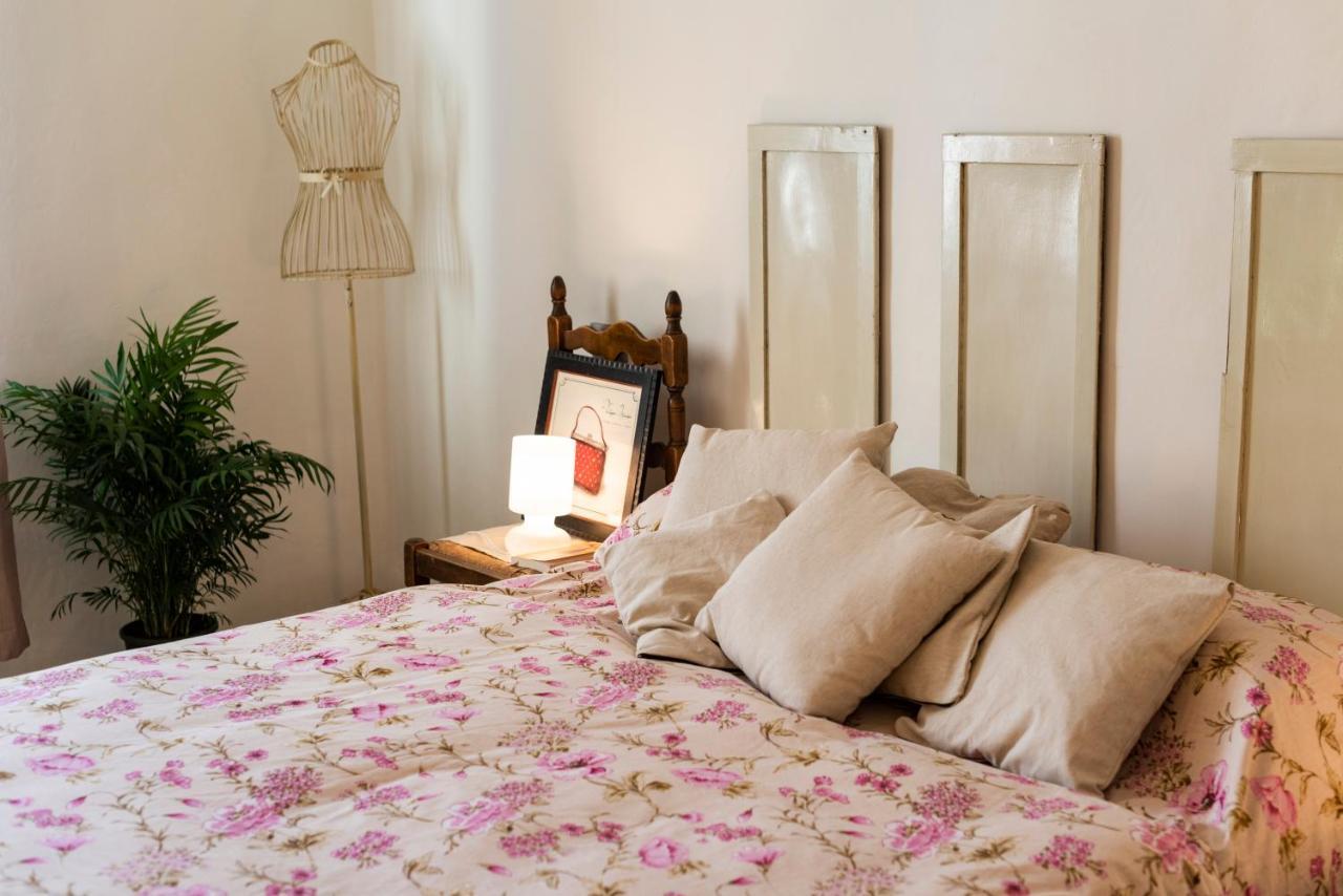 Apartment Il Lucernario Pisa